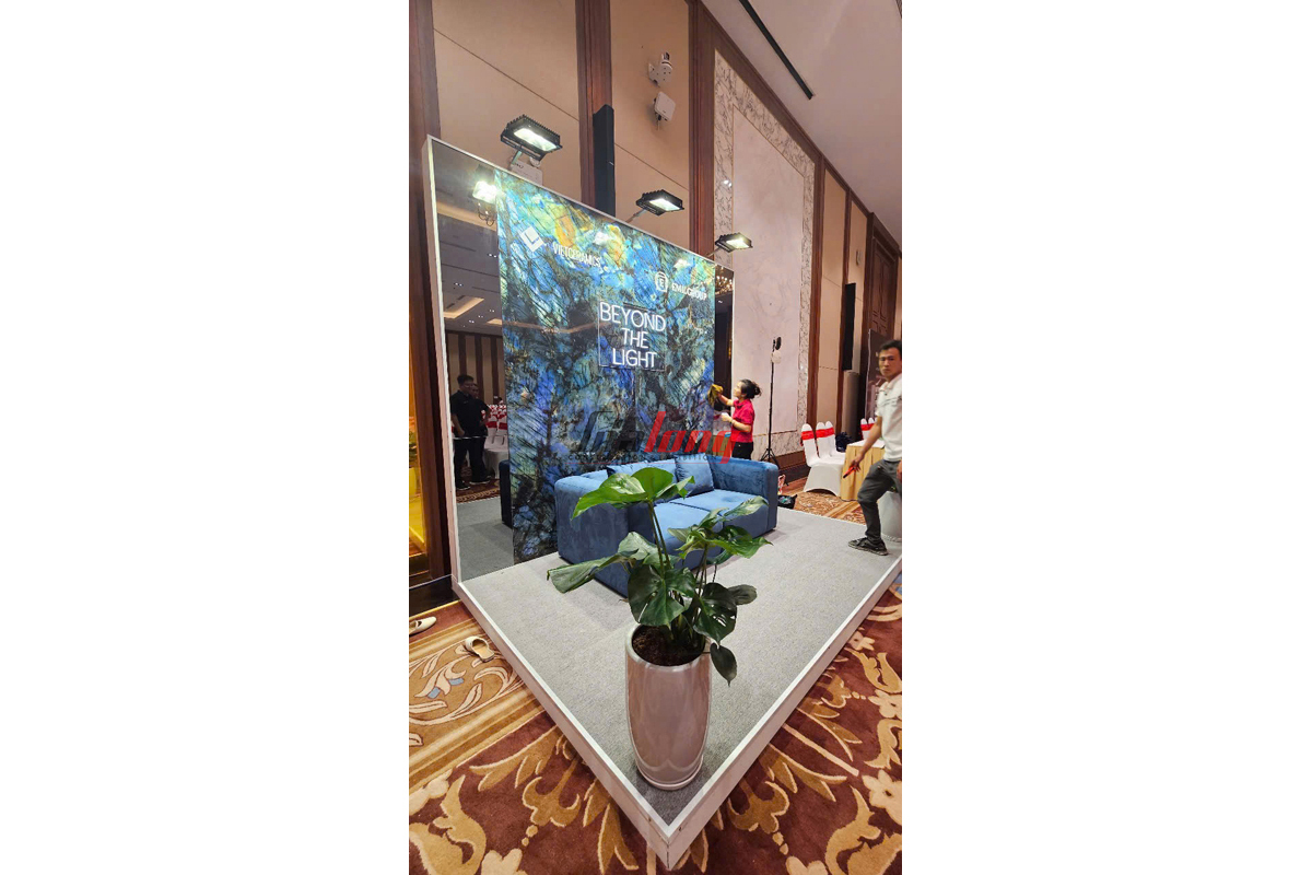 2025 年的项目